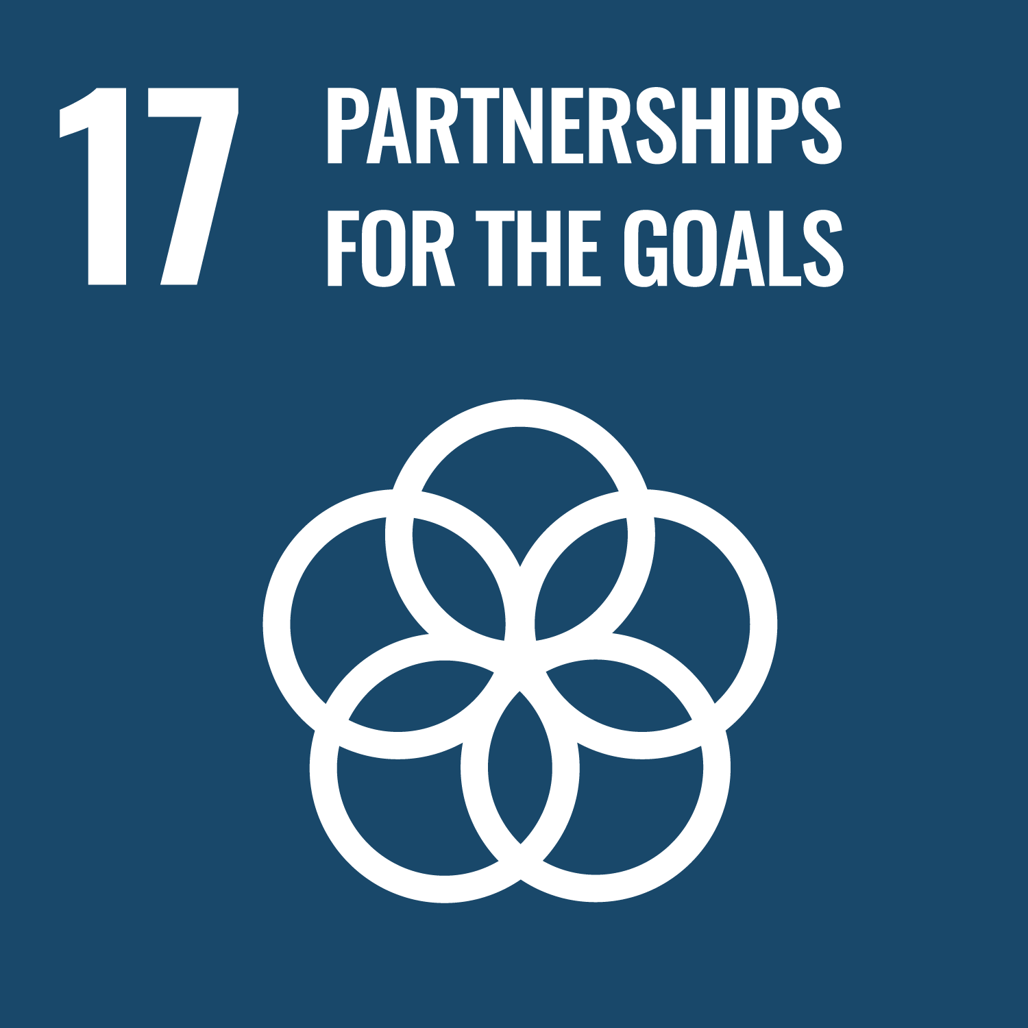 17 partnerships for the goals