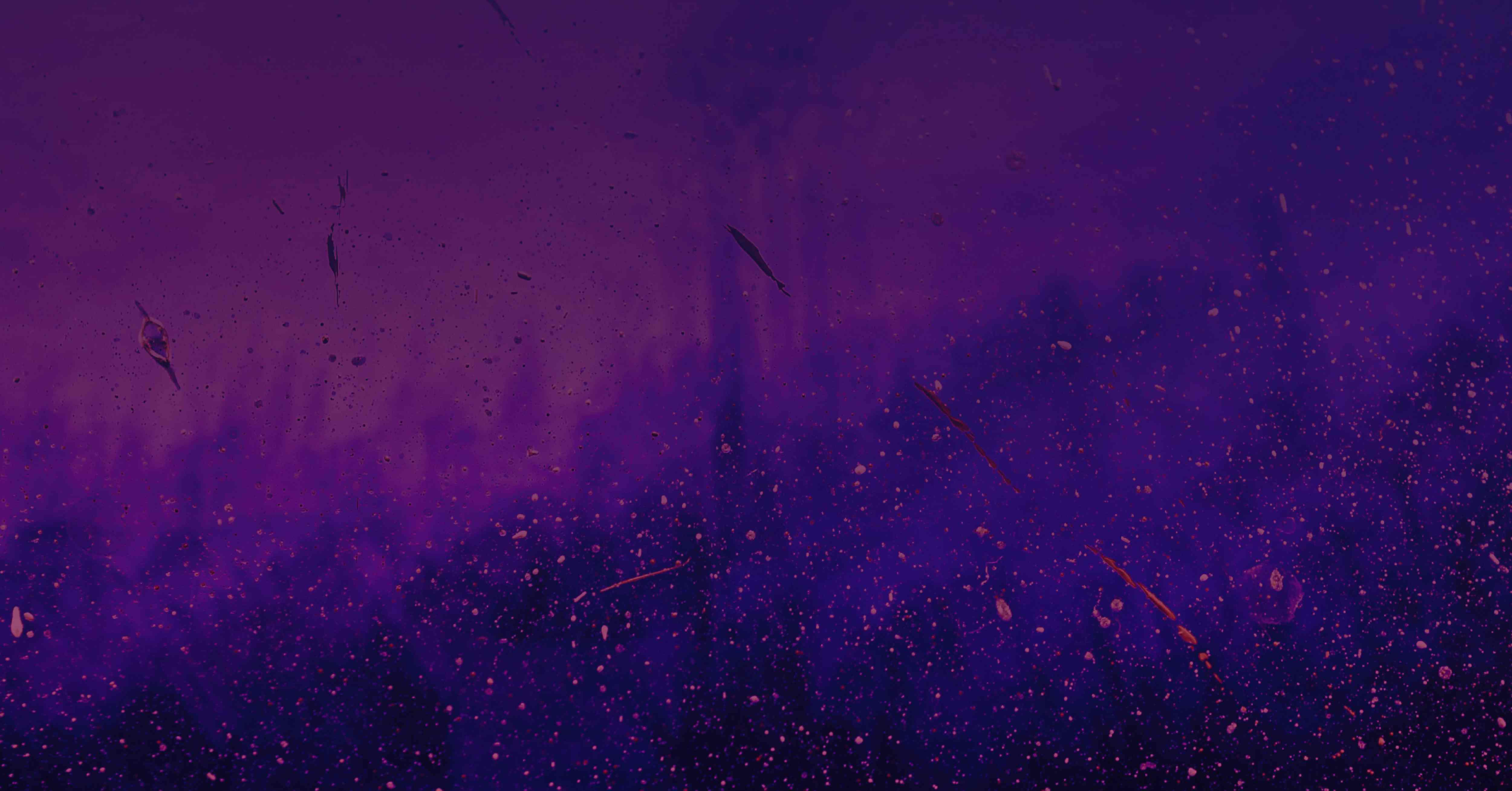 Karen Blanc TL Web Banner 1