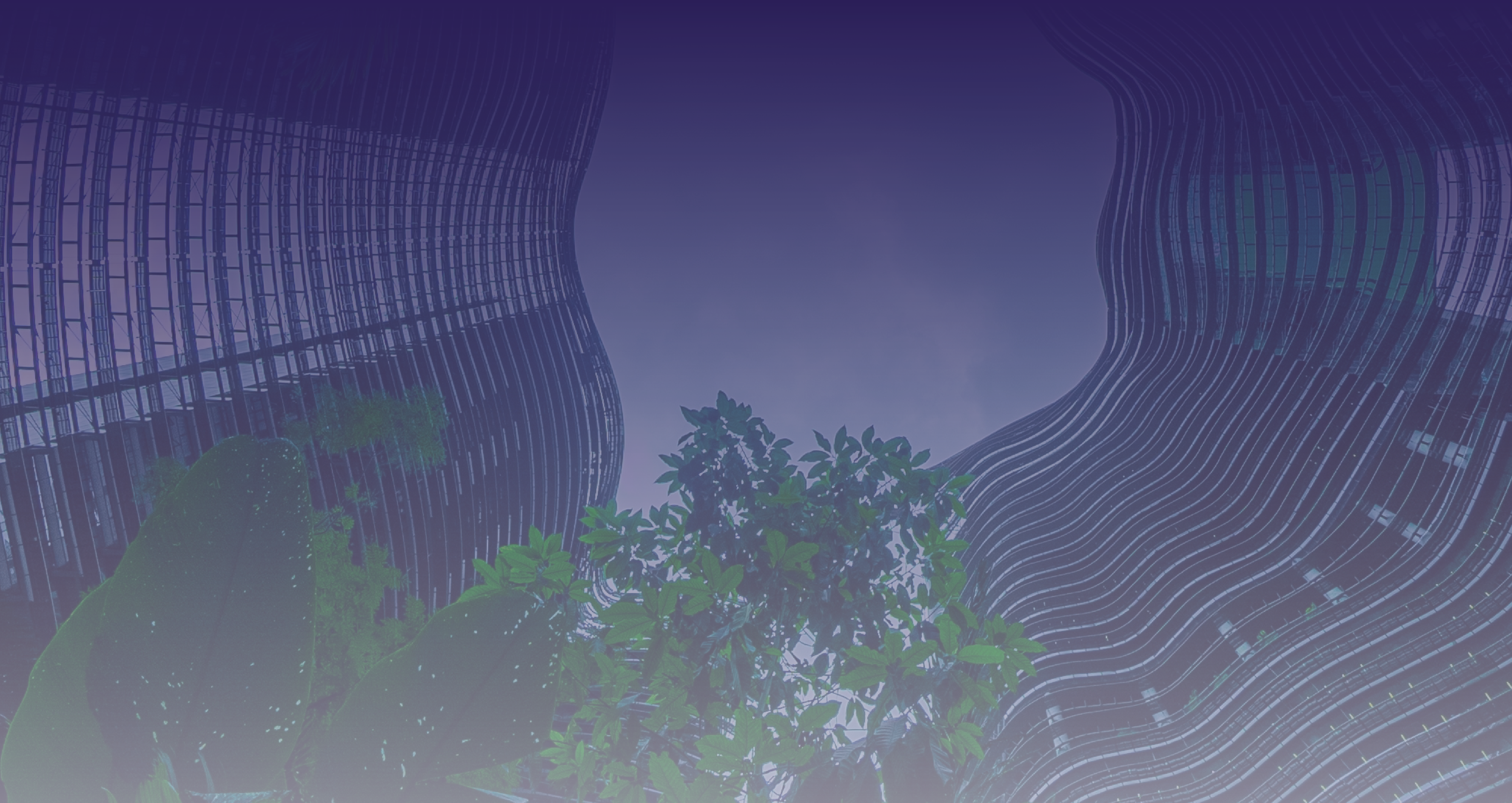 TL Emma Scott Web Banner