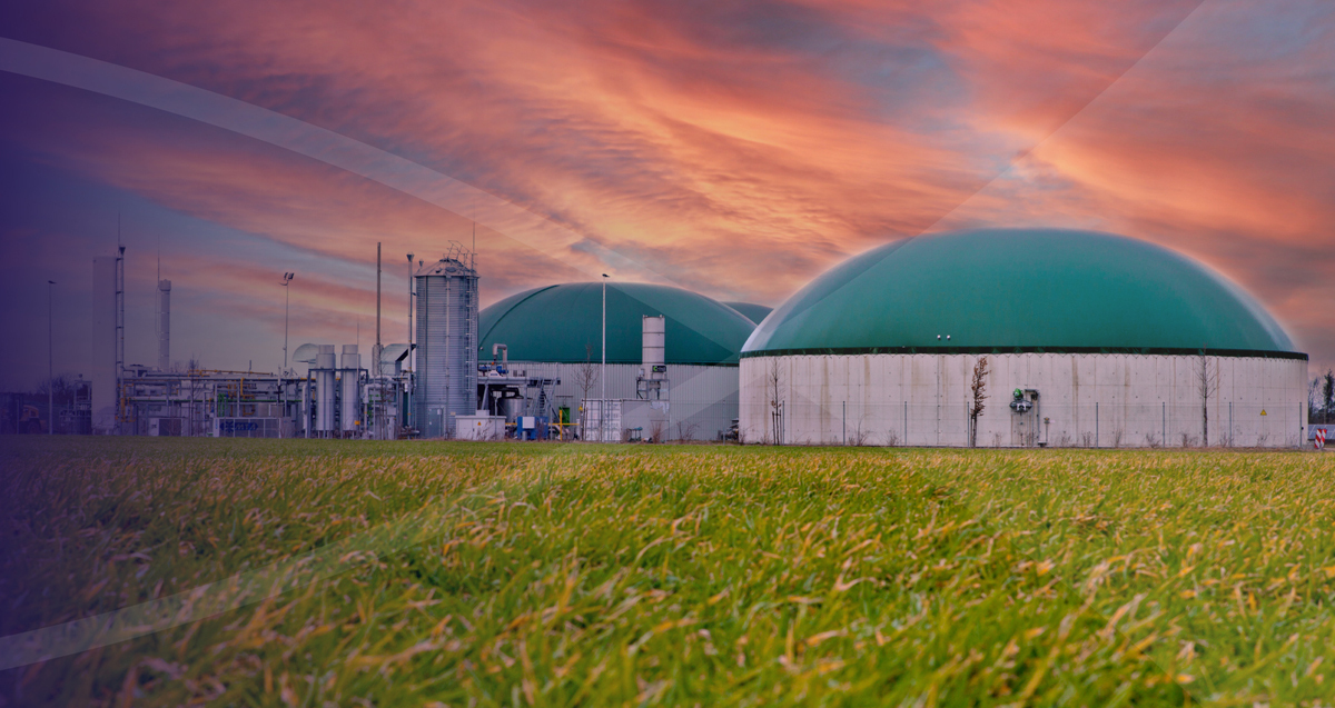 TL Jacob de Boer 2 Web Banner