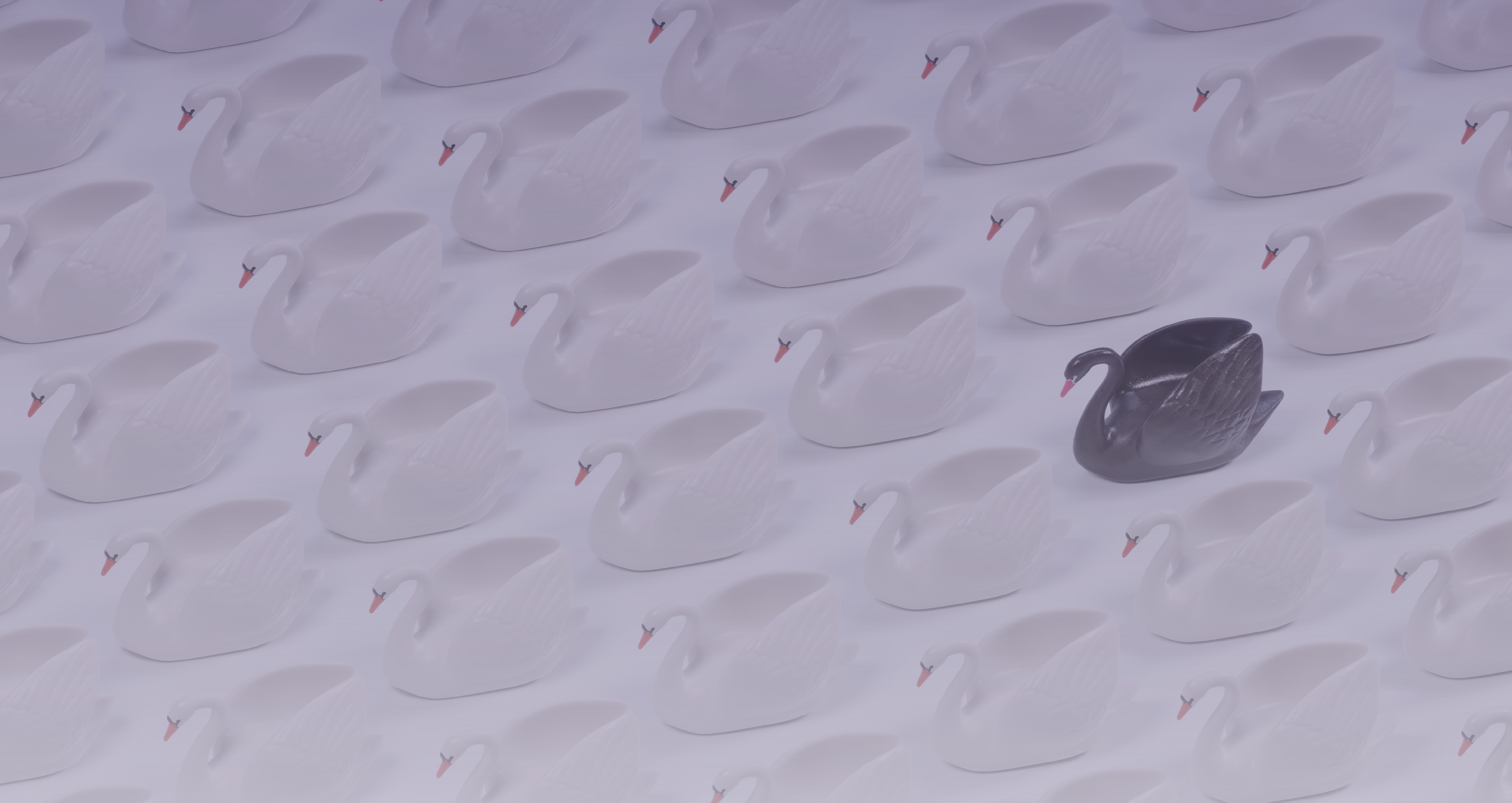 TL Will Sharpe Web Banner