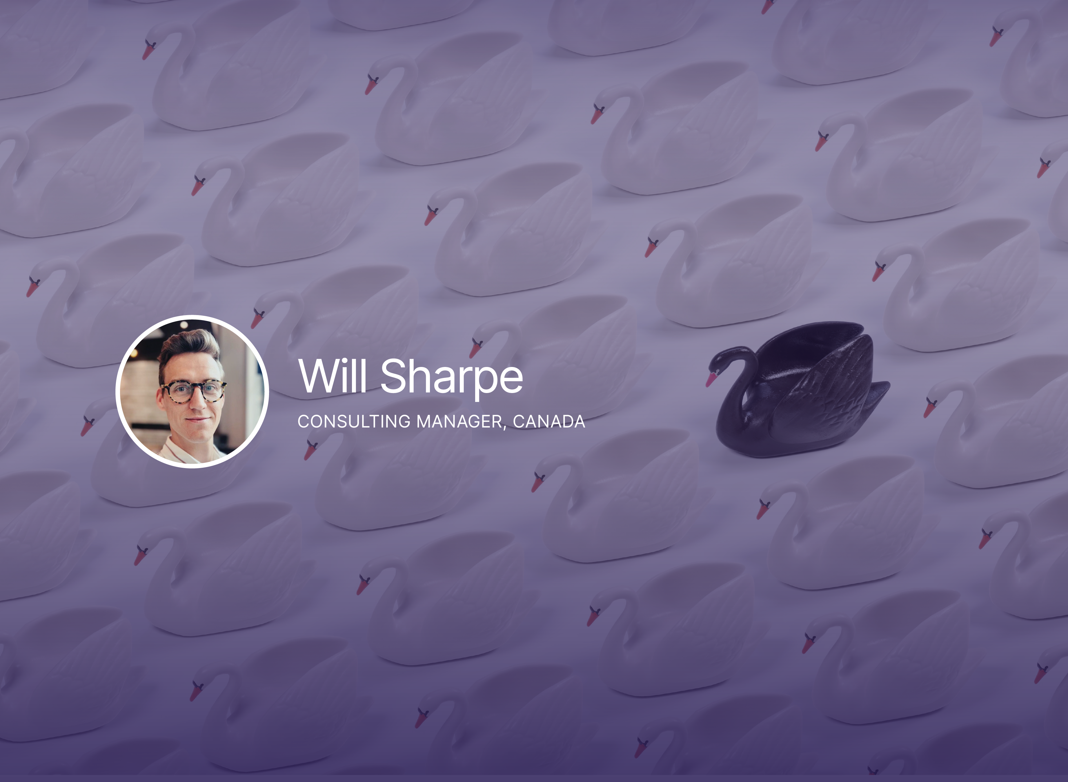 TL Will Sharpe Web Thumbnail