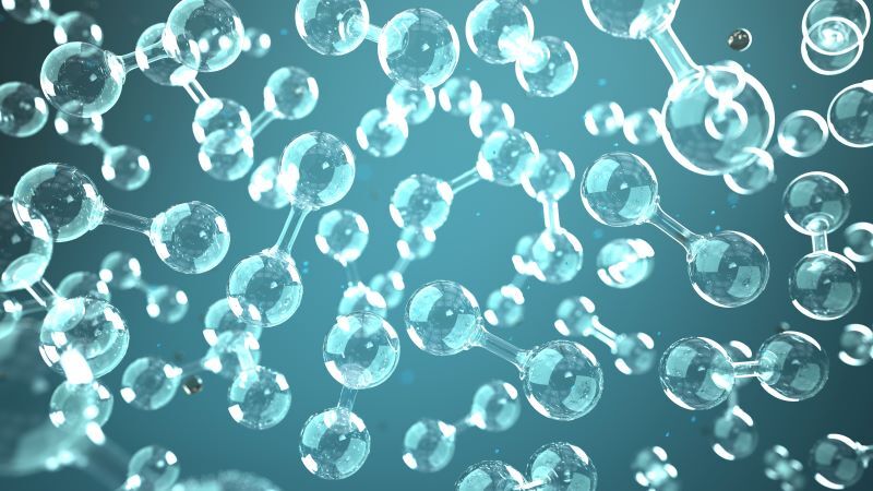 Shutterstock 1768128641