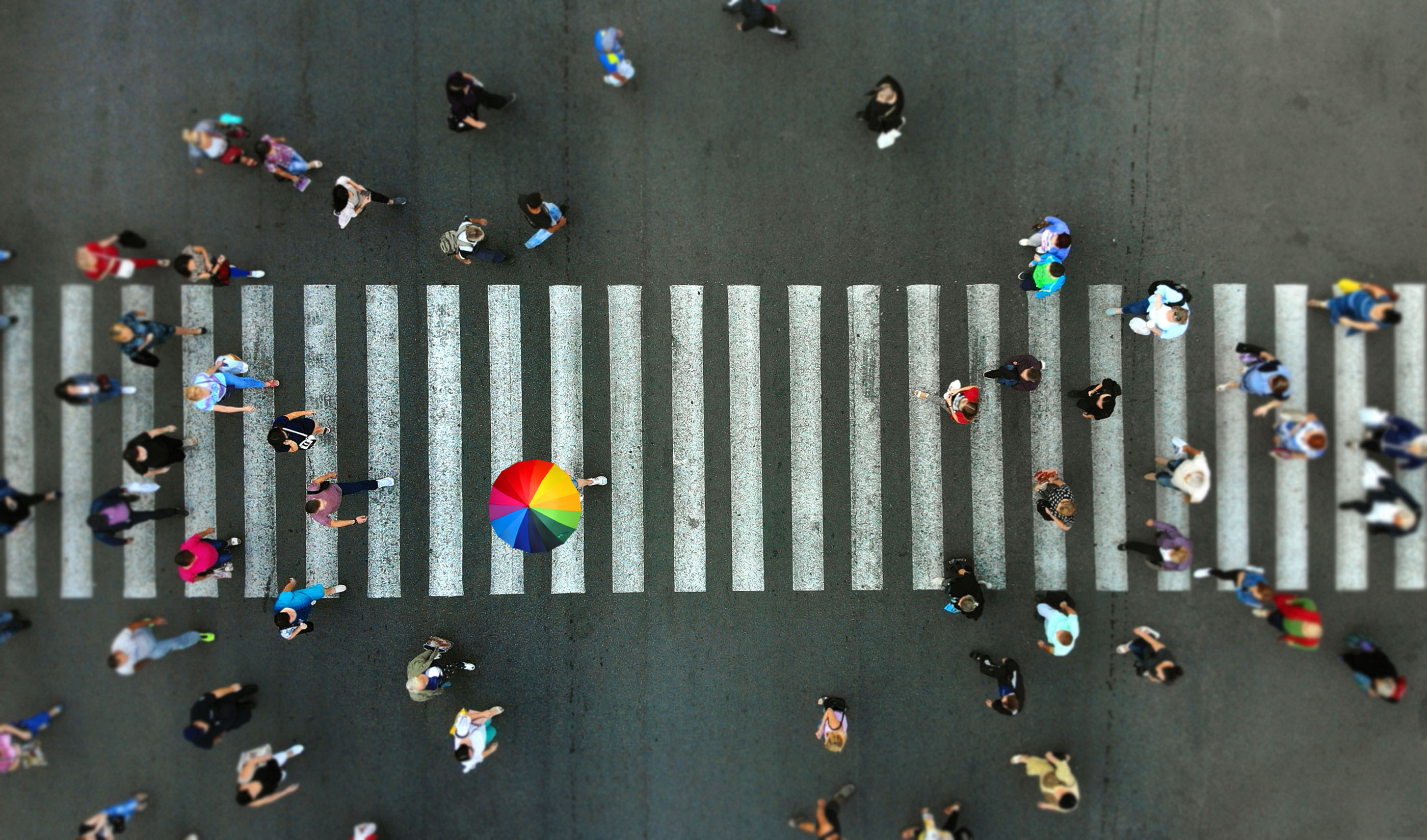 Shutterstock 1263691543edit