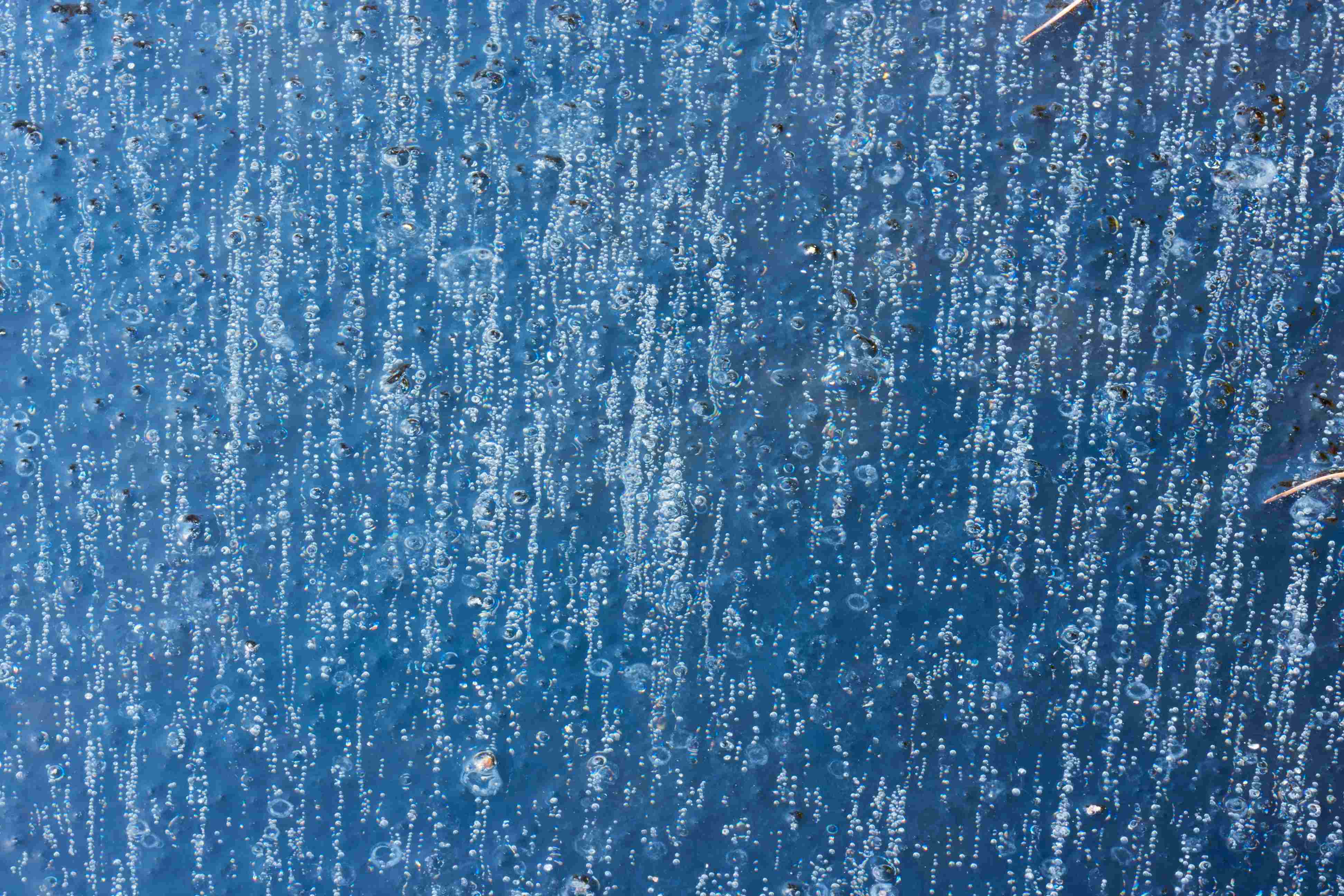 Shutterstock 1264559938 resized