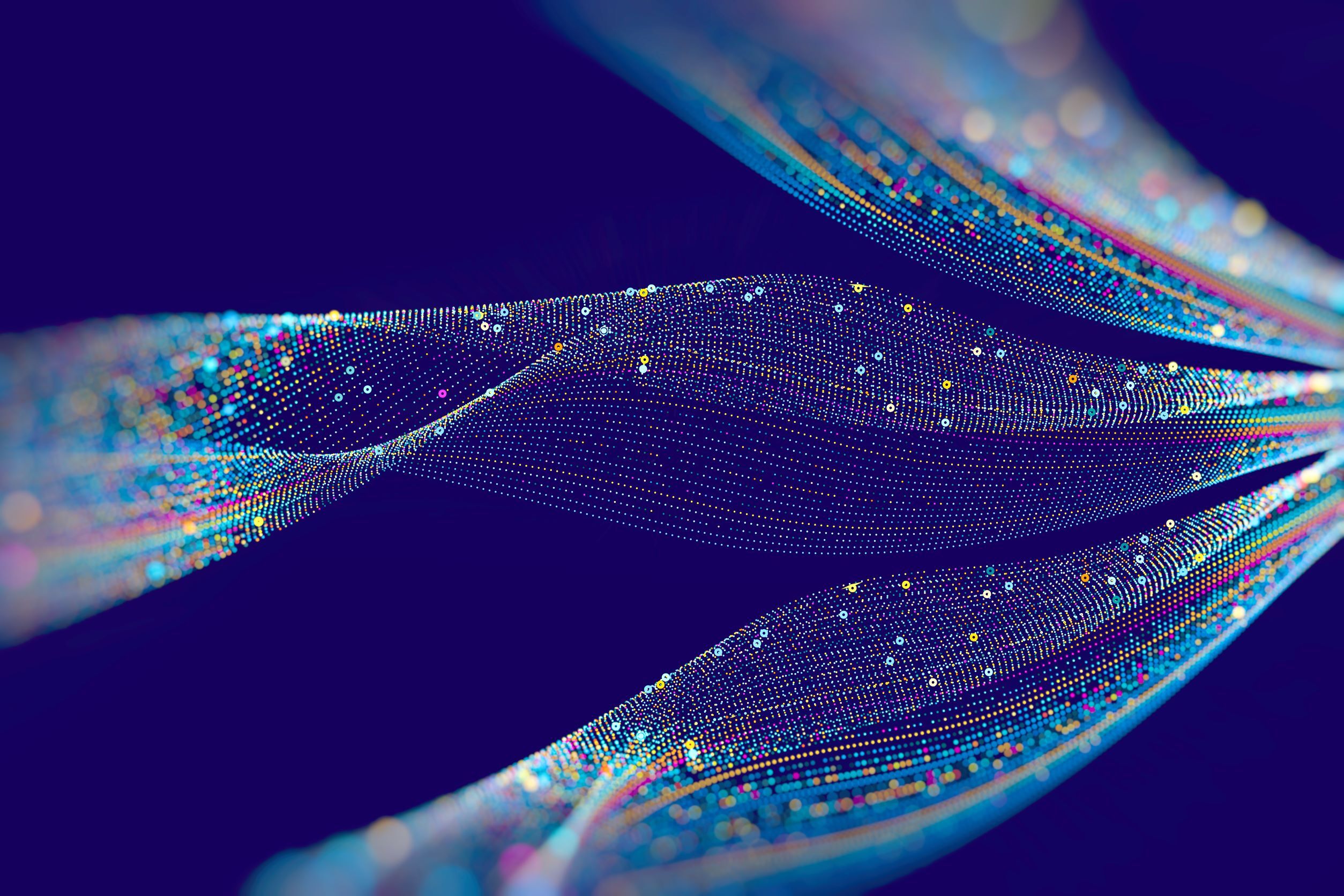 Shutterstock 1932823352 1